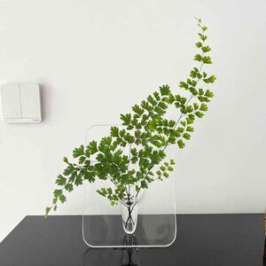 Clear Acrylic Flower Vase – Minimalist Design